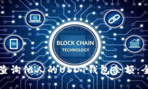 如何查询他人的USDT钱包余额：全解析