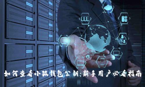 如何查看小狐钱包公钥：新手用户必看指南