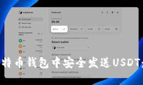 如何在比特币钱包中安全发送USDT：详尽指南