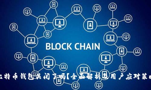 比特币钱包关闭了吗？全面解析及用户应对策略