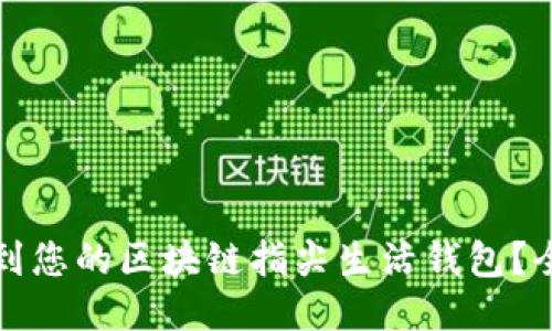 如何找到您的区块链指尖生活钱包？全面指南