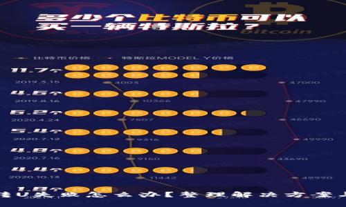 小狐钱包转U失败怎么办？整理解决方案与常见问题