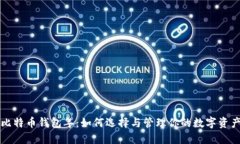 比特币钱包年：如何选择