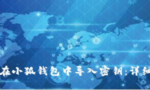 如何在小狐钱包中导入密钥：详细指南