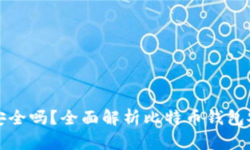 比特币钱包联网安全吗？全面解析比特币钱包安全性及防护策略