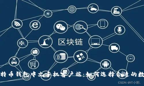 全面解析比特币钱包中文手机客户端：如何选择合适的数字货币钱包