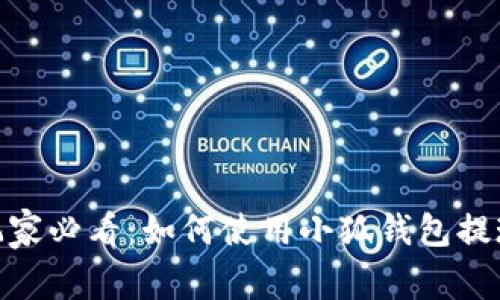 链游玩家必看：如何使用小狐钱包提现攻略