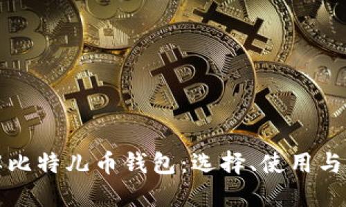全面了解比特儿币钱包：选择、使用与安全指南