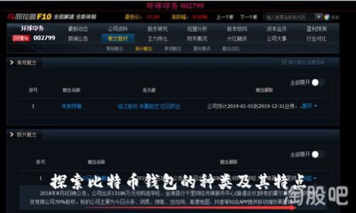 探索比特币钱包的种类及其特点