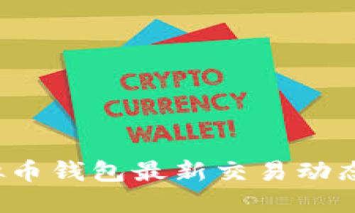 2023年虚拟币钱包最新交易动态与投资指导