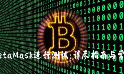 如何使用MetaMask进行测试：详尽指南与常见问题解答