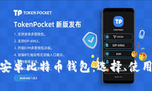 全面解析安卓比特币钱包：选择、使用与安全性