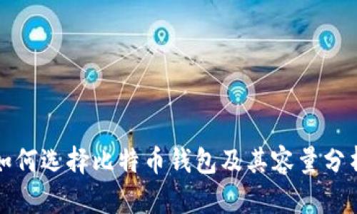 如何选择比特币钱包及其容量分析