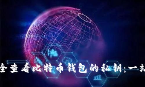 如何安全查看比特币钱包的私钥：一站式指南