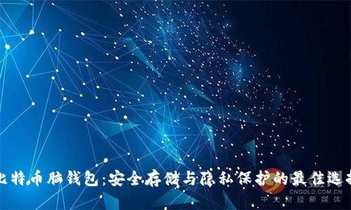 比特币脑钱包：安全存储与隐私保护的最佳选择