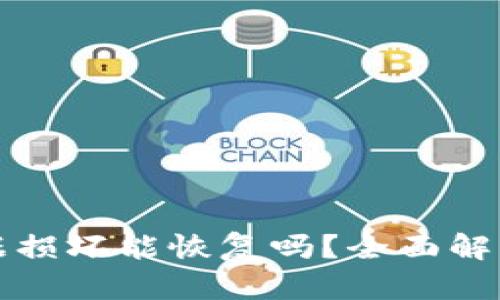 小狐钱包数据损坏能恢复吗？全面解析及解决方案