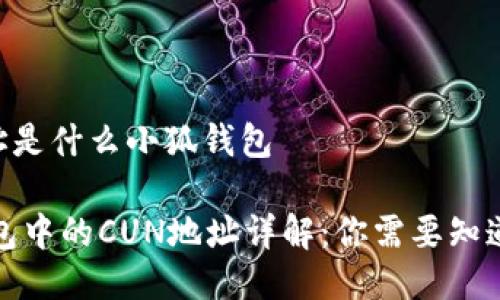 cun地址是什么小狐钱包

小狐钱包中的CUN地址详解：你需要知道的一切