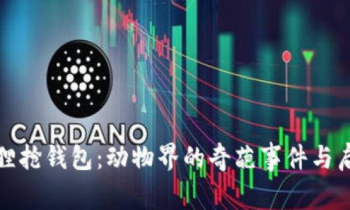 狐狸抢钱包：动物界的奇葩事件与启示