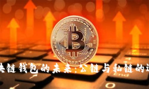 区块链钱包的未来：公链与私链的选择