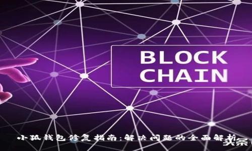 小狐钱包修复指南：解决问题的全面解析